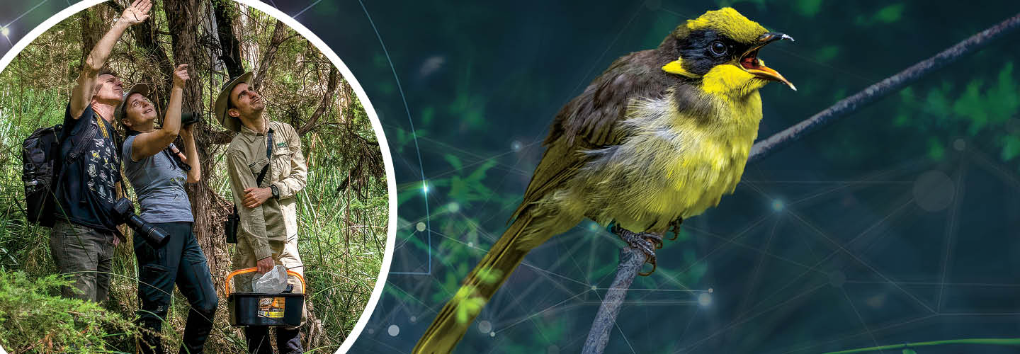 Image of people taking photos of a yellow goldfinch